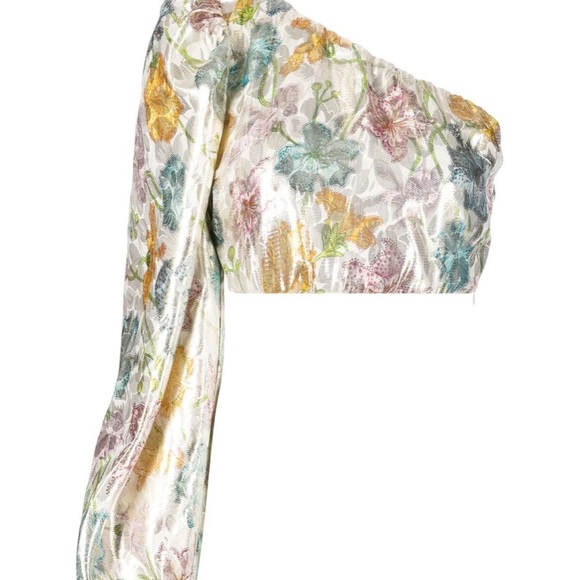 Hayley Menzies Shimmering Bonita Silk Jacquard Top Off Shoulder One Sleeve NWT - Picture 4 of 8